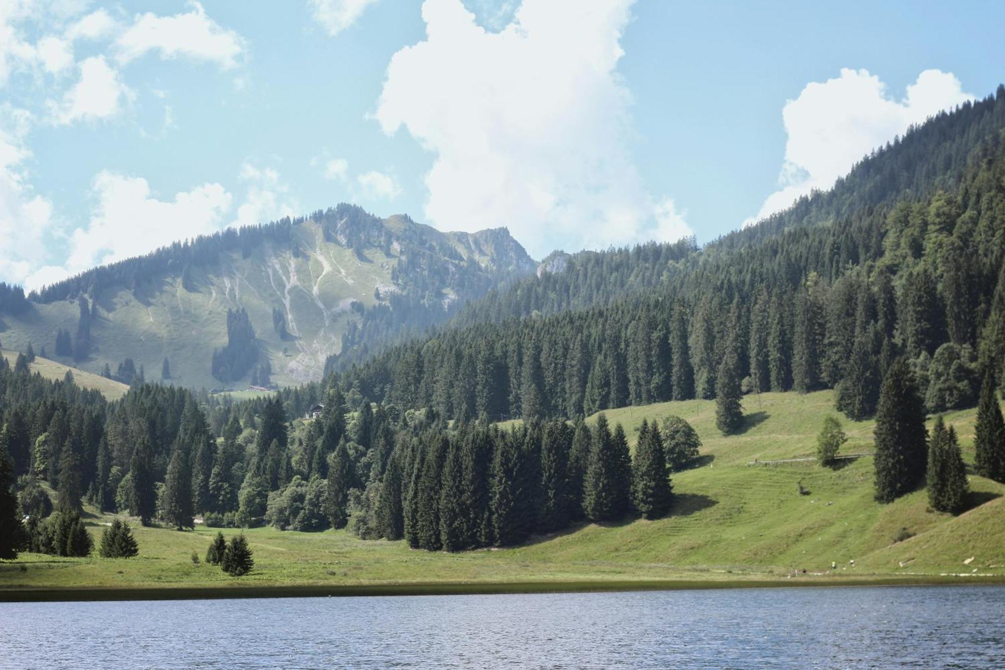 Ferienwohnung "Seeruhe" - Berge, See Und Natur Am Spitzingsee Schliersee Esterno foto
